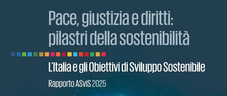 imm rapp asvis 20252025-12-09 131751